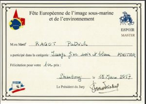 1er Prix Image Fixe NB FEISME Strasbourg