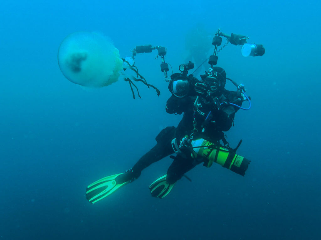 Plongée scientifique Hendaye