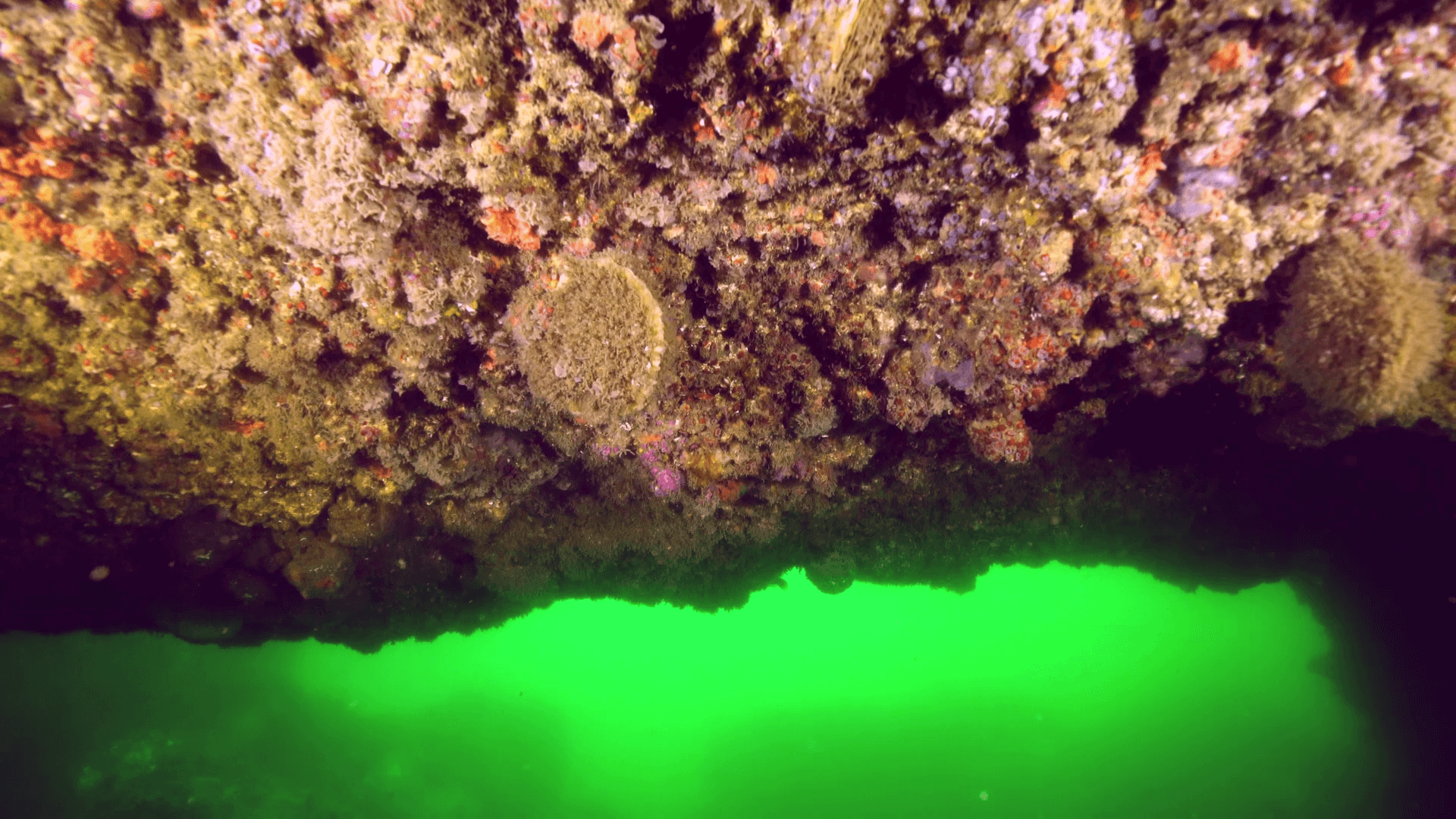 l&rsquo;arche de l&rsquo; Amélie à Soulac