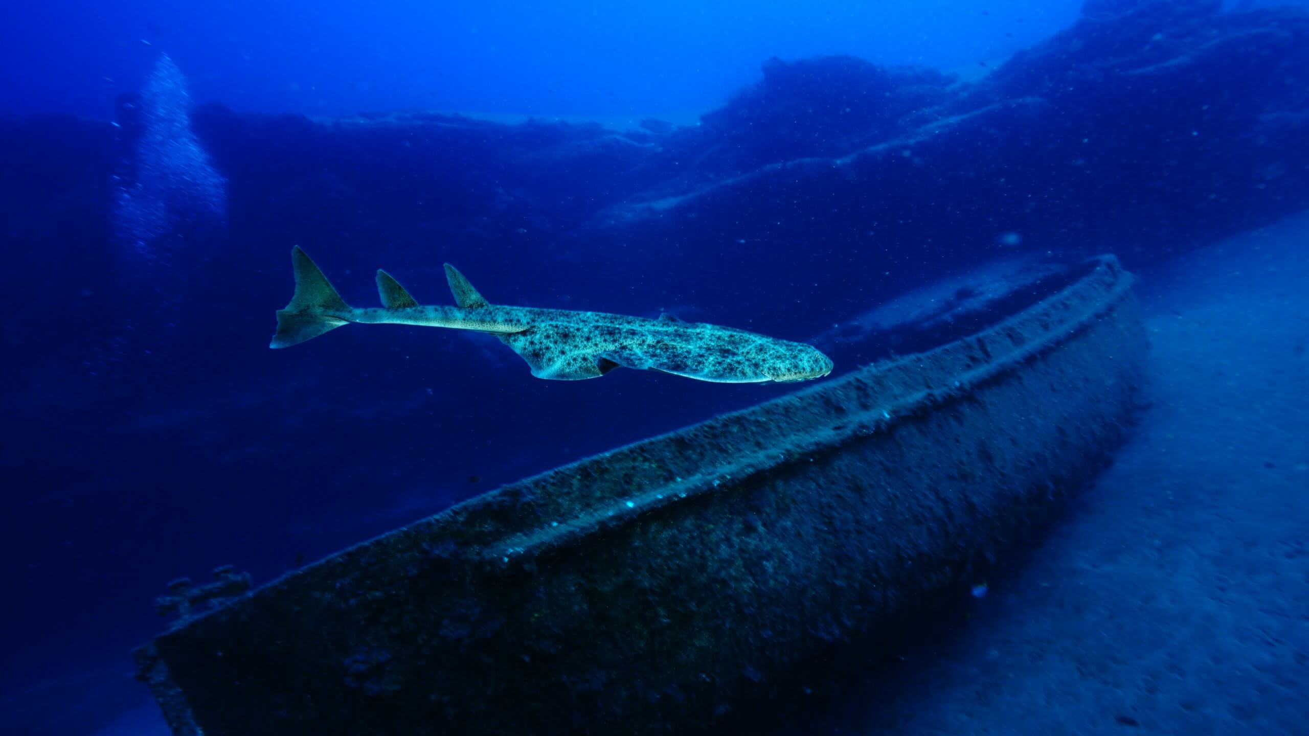 Lanzarote: L&rsquo;Atlantique amical