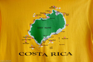 Cocos-8
