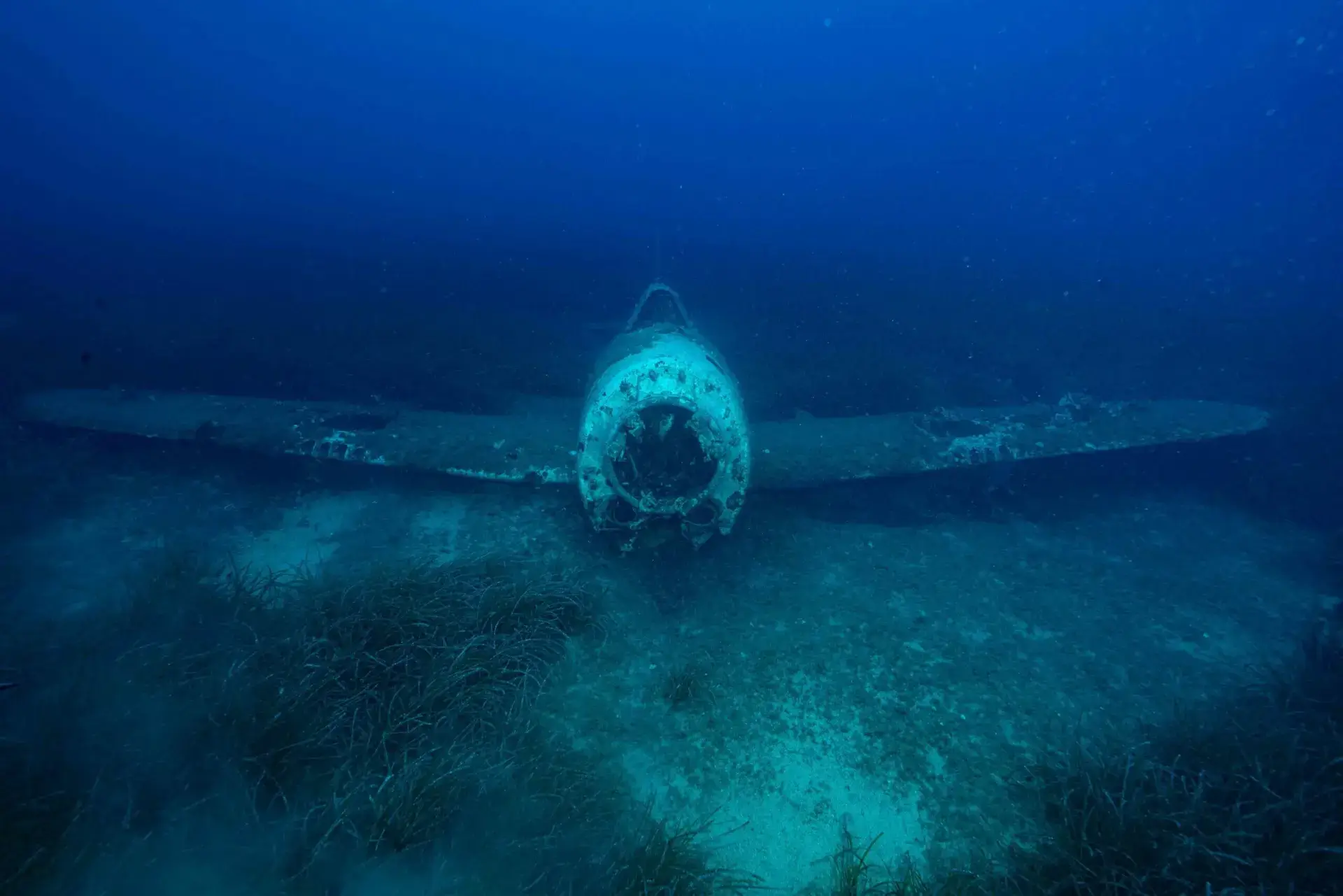 Le P47 Thunderbolt de Miomo (Bastia)