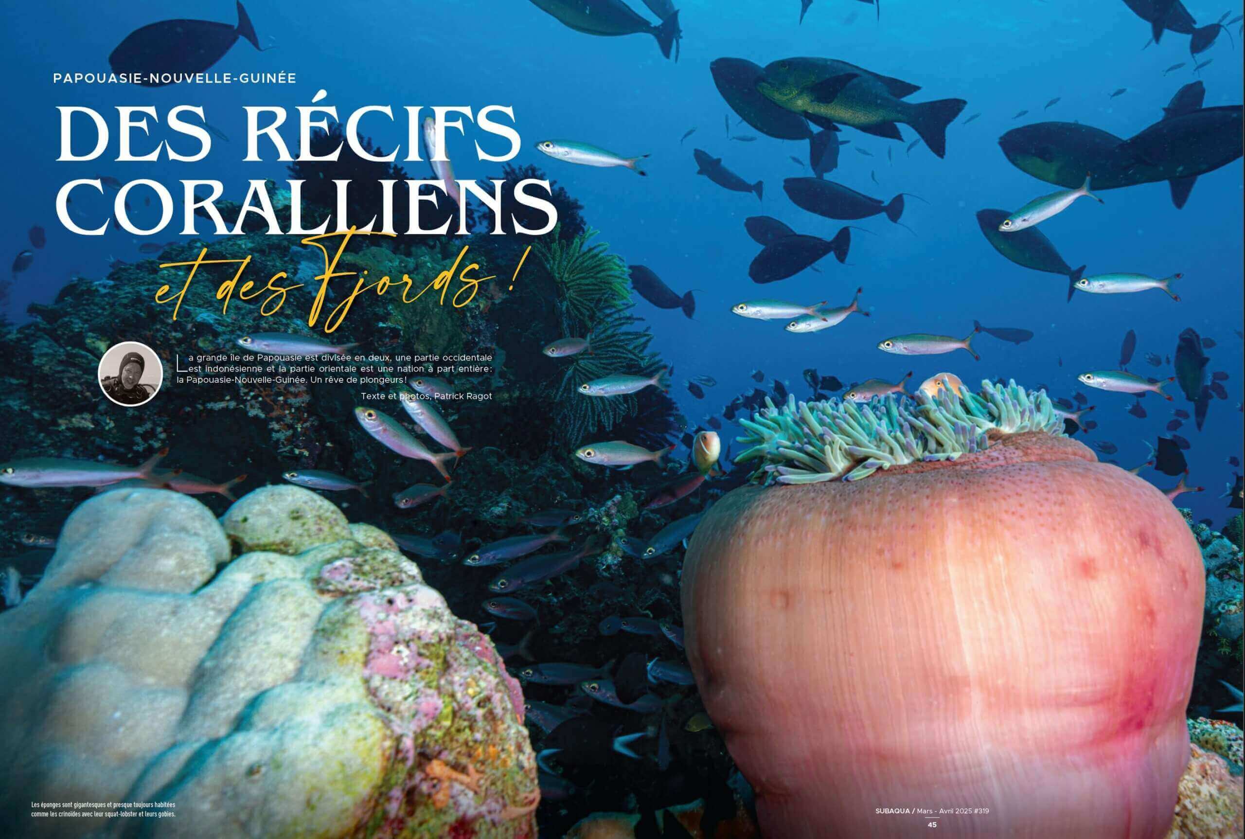 PAPOUASIE NOUVELLE GUINEE